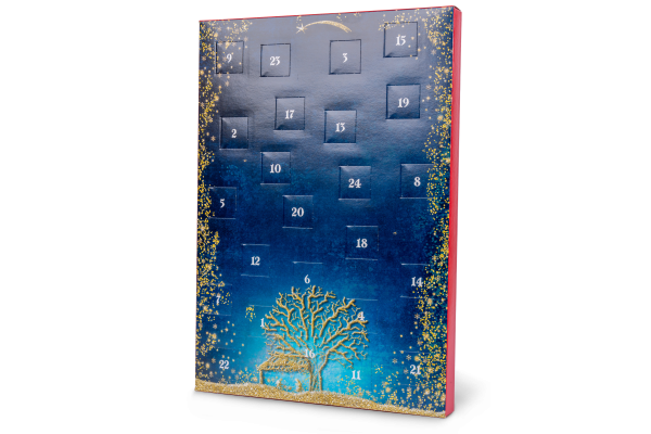_wpframe_custom/gallery/files/wpf_shops_products/t_adventskalender_sternenhimmelpng_1628776173.png