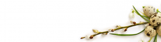 _wpframe_custom/gallery/files/wpf_sites_paragraphs_parts/t_unserebestseller_1-1png_1622449153.png